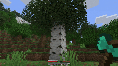 Tree Vein Miner