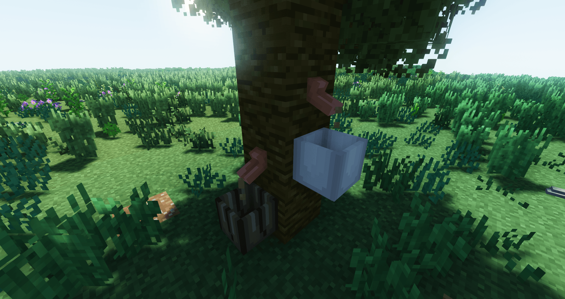 Tree Tap