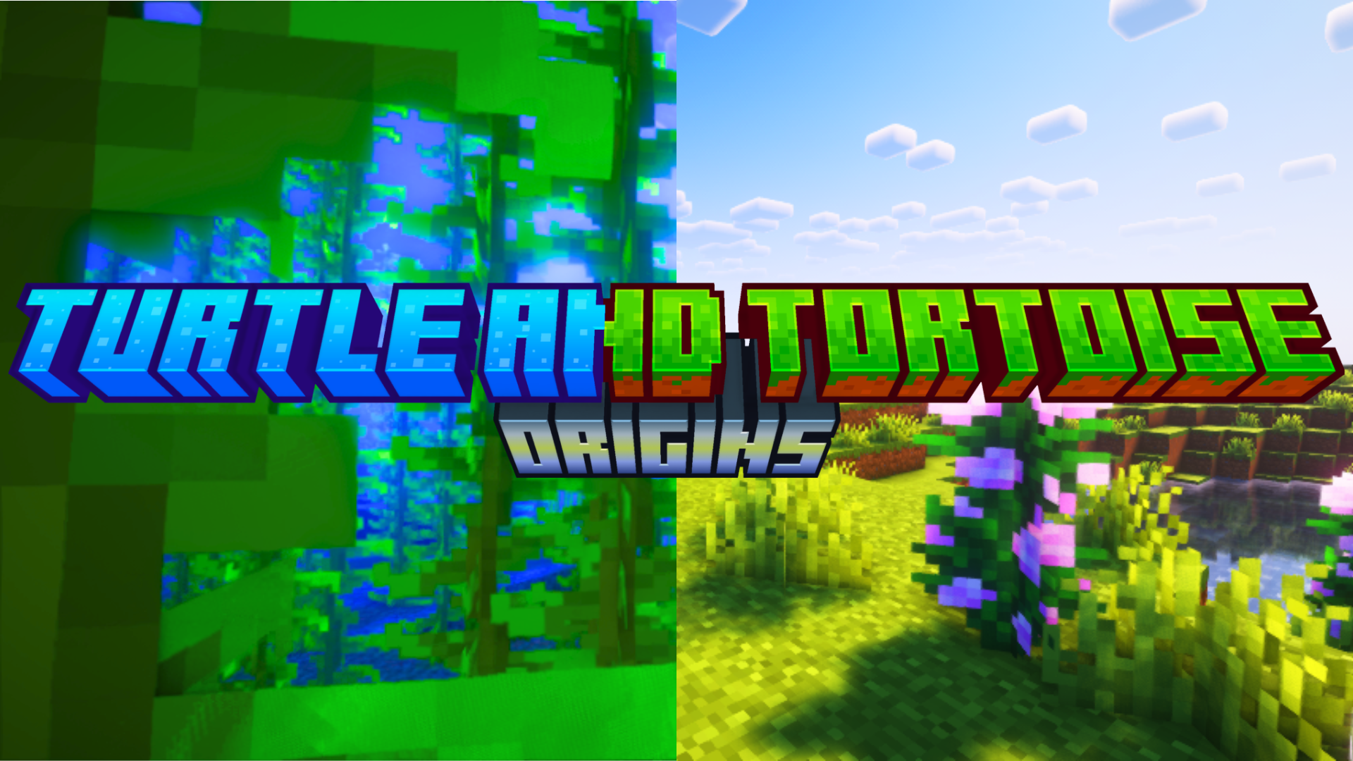 Turtle And Tortoise Origins