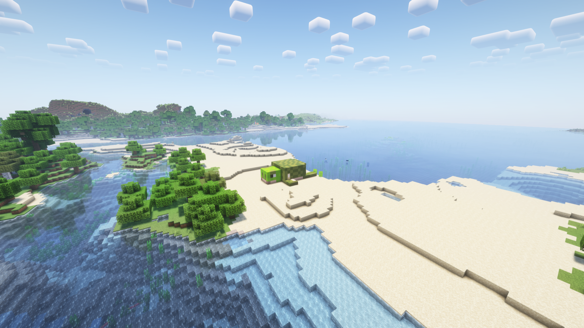 Turtle House