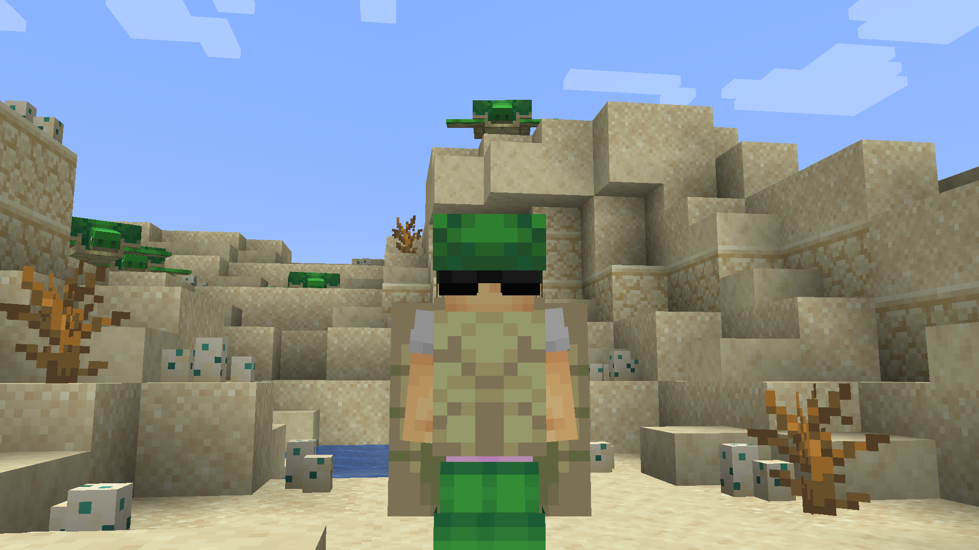 Turtle Armor