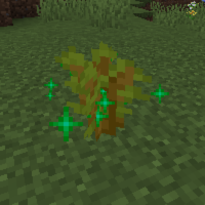 Twerk Crop Growth