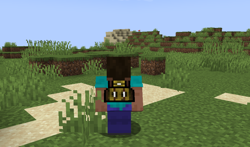 Upgradable Backpack
