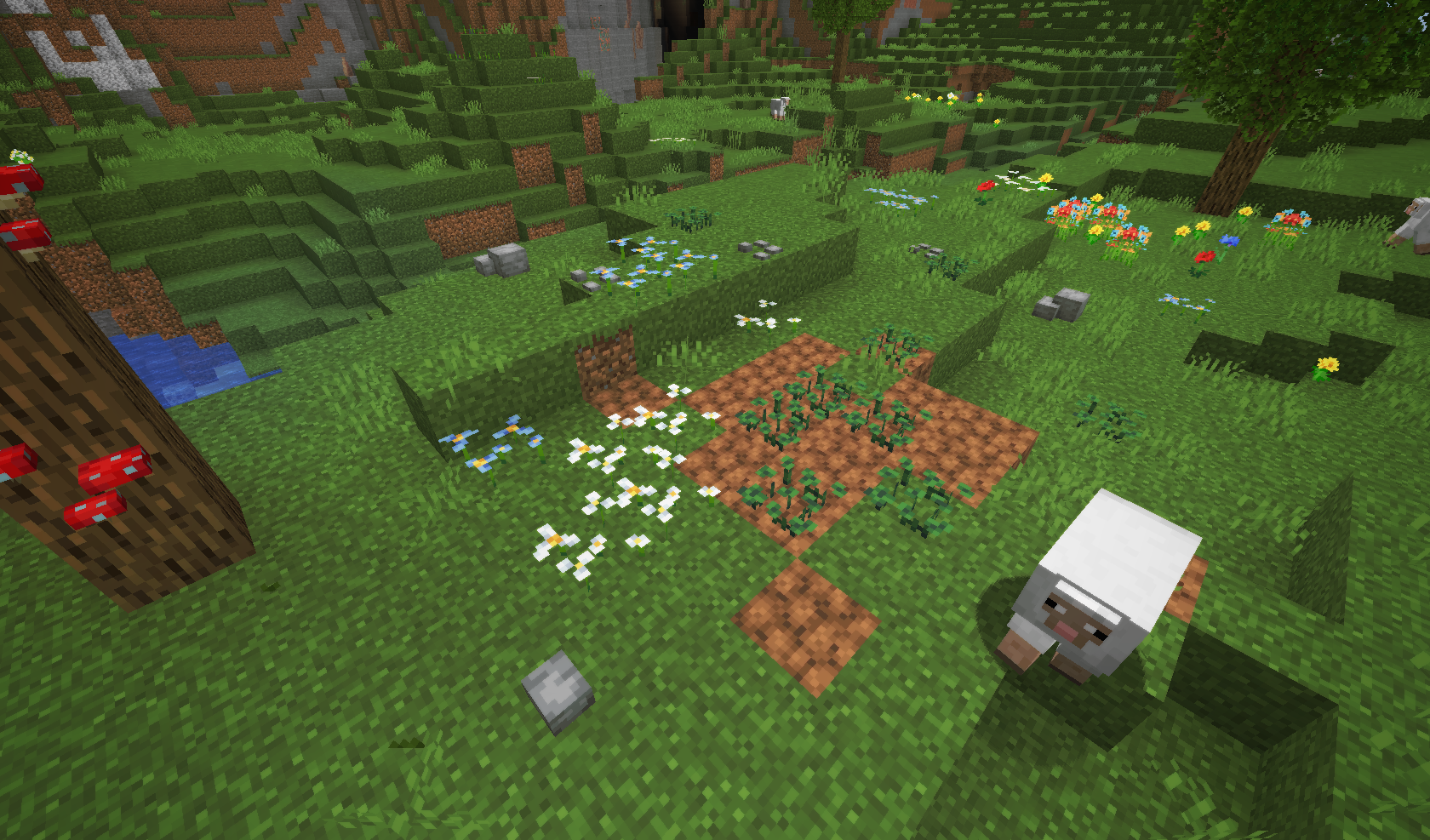 Verdure