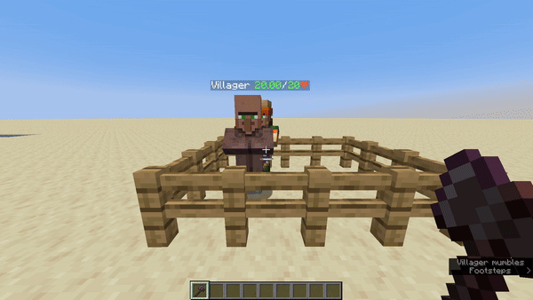 Village Healthcare