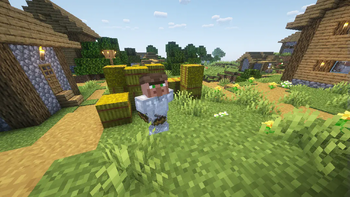Villager Guards