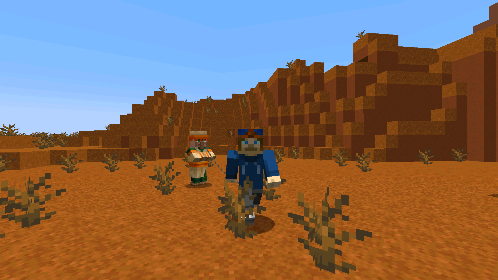 Villager Leads