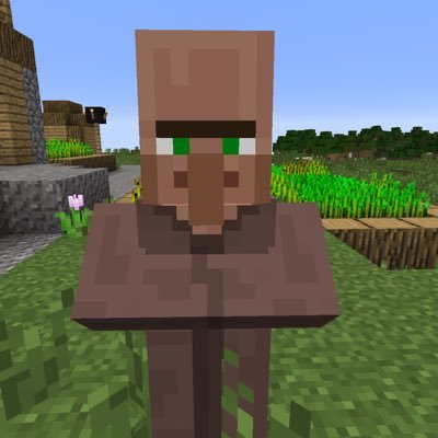 Villager Realism