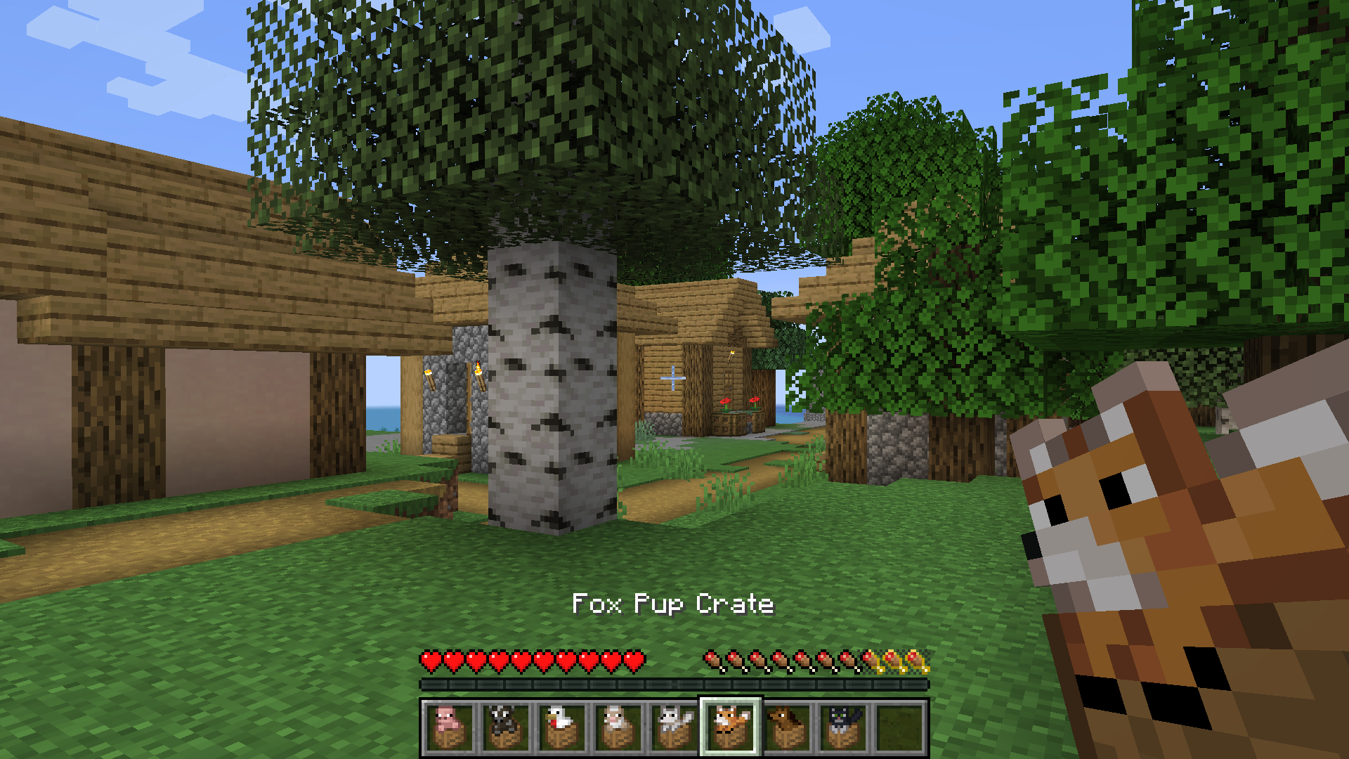 NoCube's Villagers Sell Animals