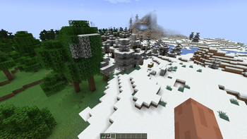 Visual Snowy Leaves