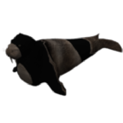 Walrus