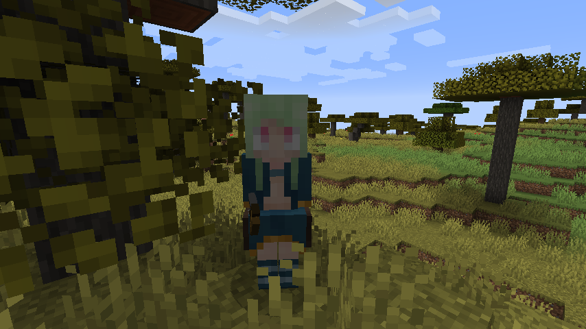 WanderMaid