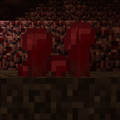 Wild Netherwart