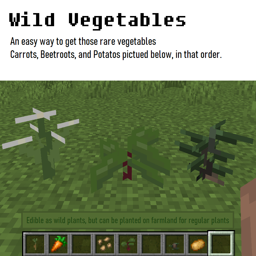Wild Vegetables (easy plants)