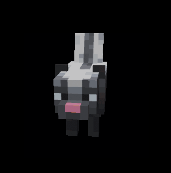 Wildlife Expanded: Skunk