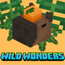 Wild Wonders