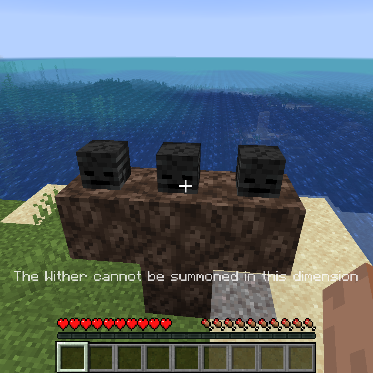 Wither Dimension Filter (Forge)