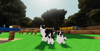 Working Dogs