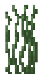 World Height Booster