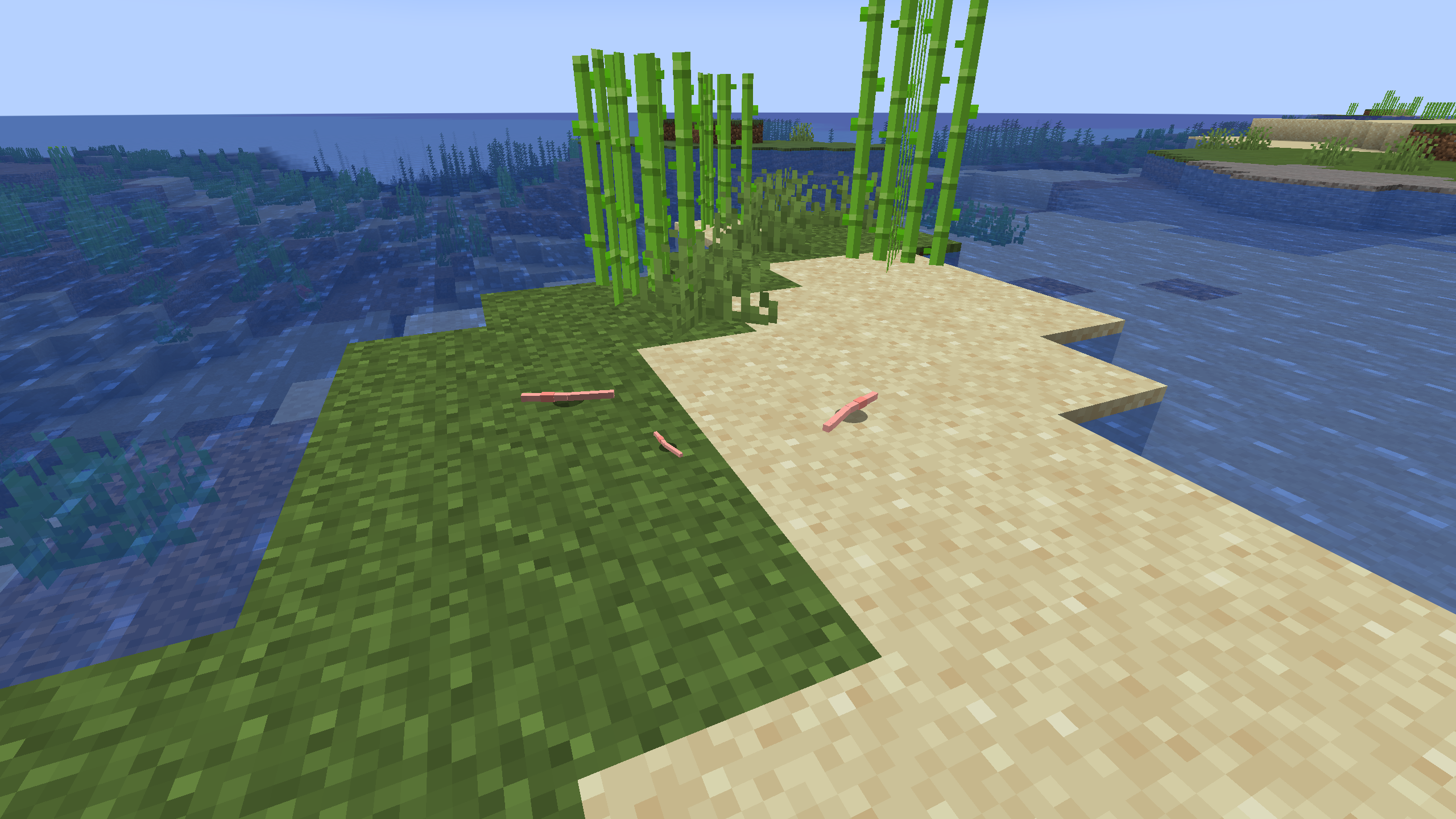Worms