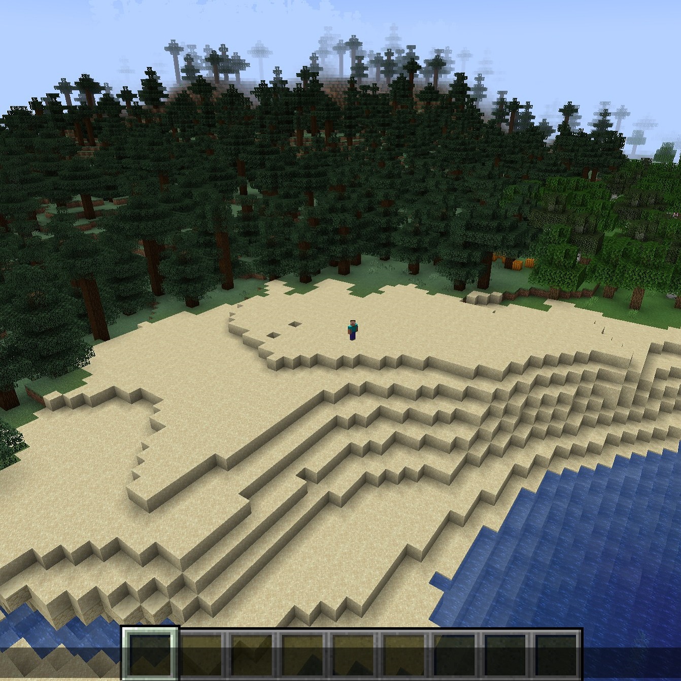 YDM's Custom Camera View