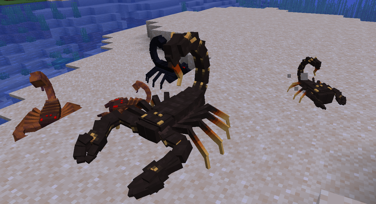 YDM's Scorpions