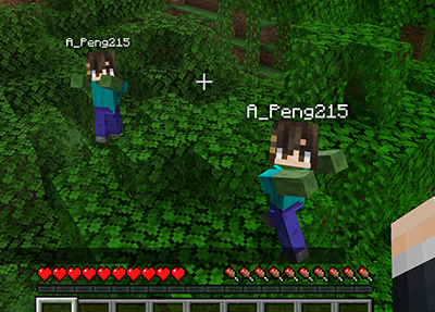 ZombPlayer