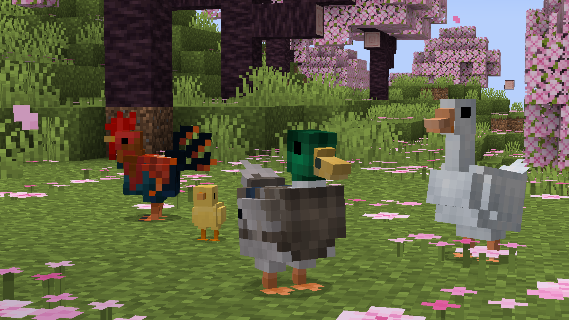 Duck Chicken Goose