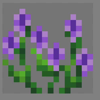 Araneae's Lavender Recolor