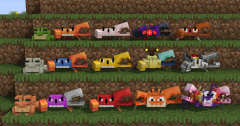Assorted Jumping Crabs