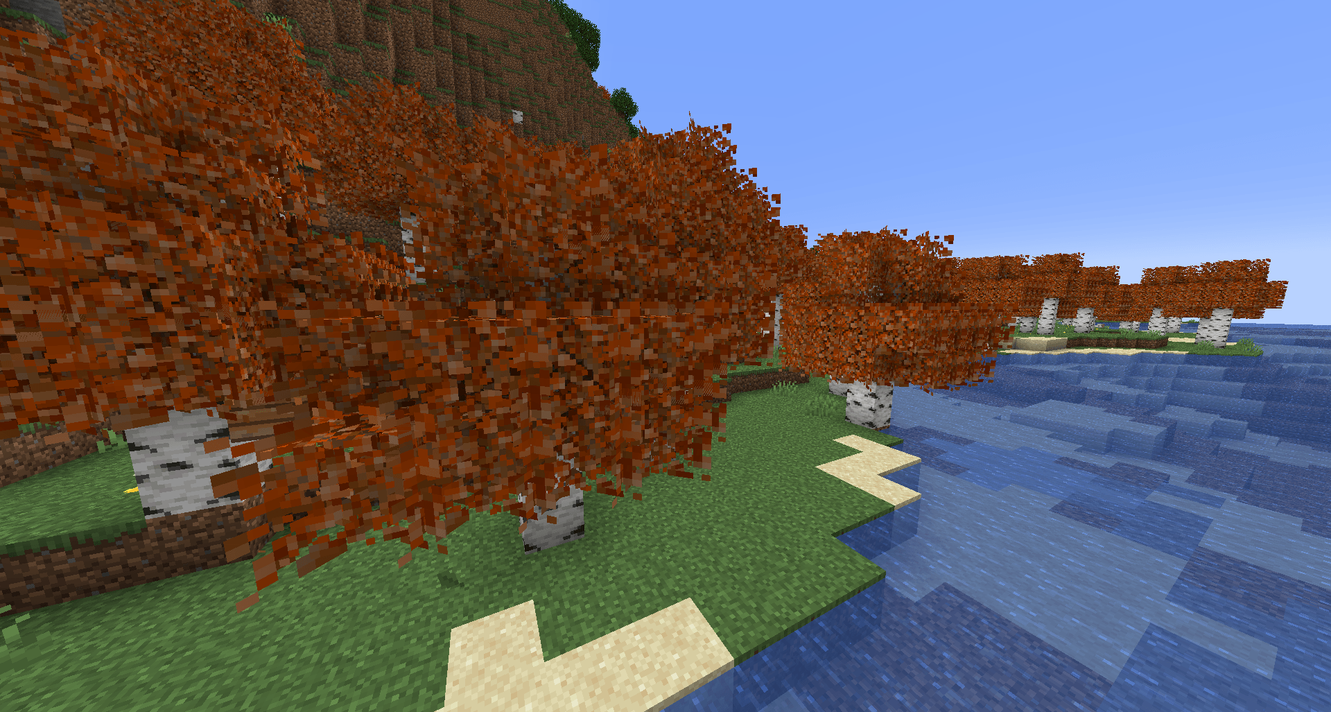 Autumn Birch  + Bushy