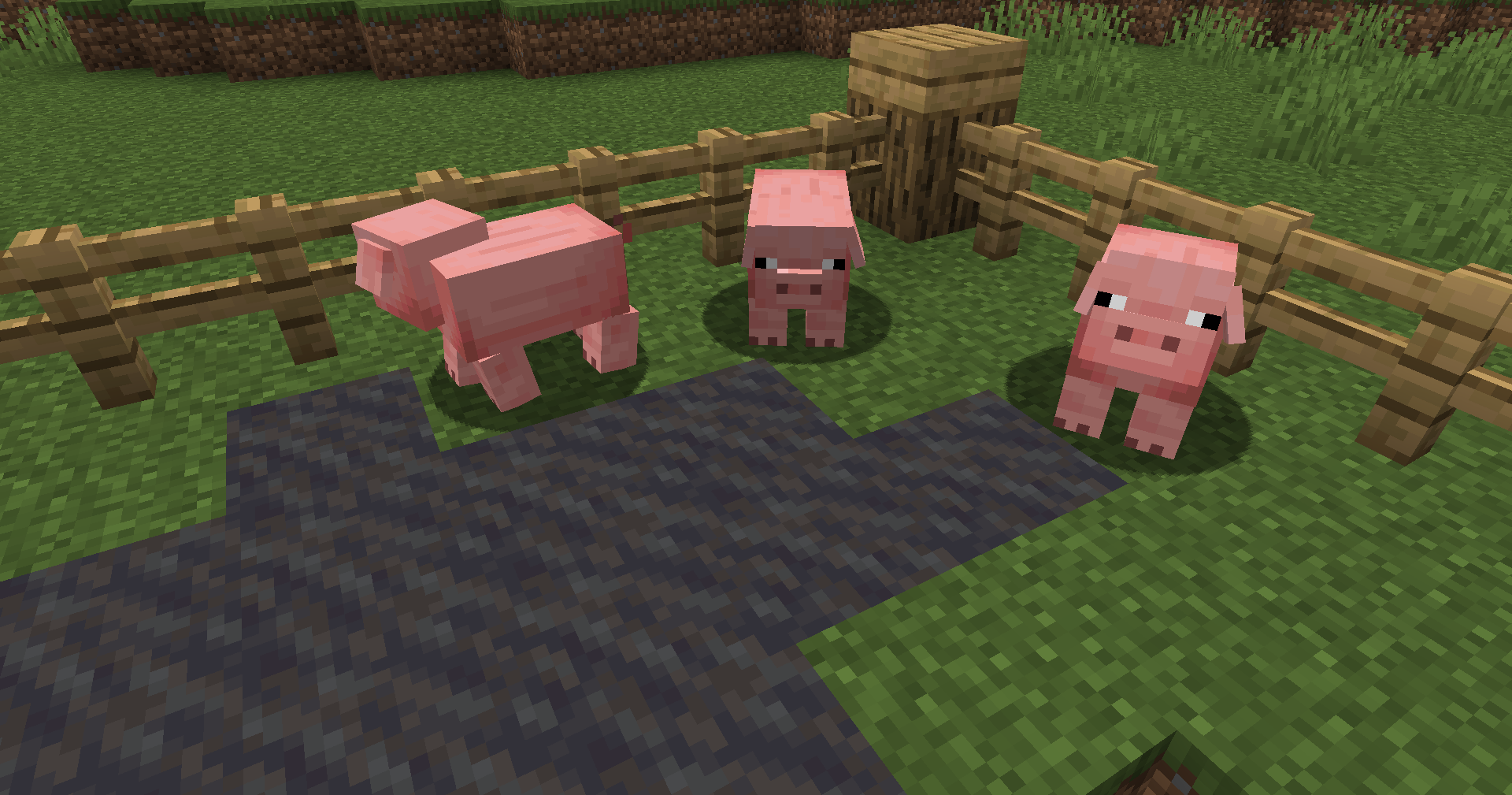 Bagel's Animal Tweaks