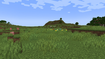 barce's varied grass and foliage