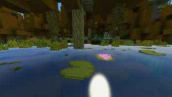 Bare Bones x Biome Makeover