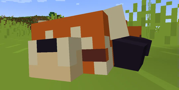 Bare Bones x Bonsai Studios