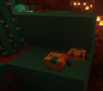 Bare bones x Nether Exoticism [& trailers vision]