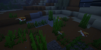Bare Fishes