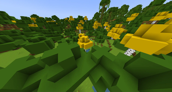 Bare Bones Yellow Birch Leaves