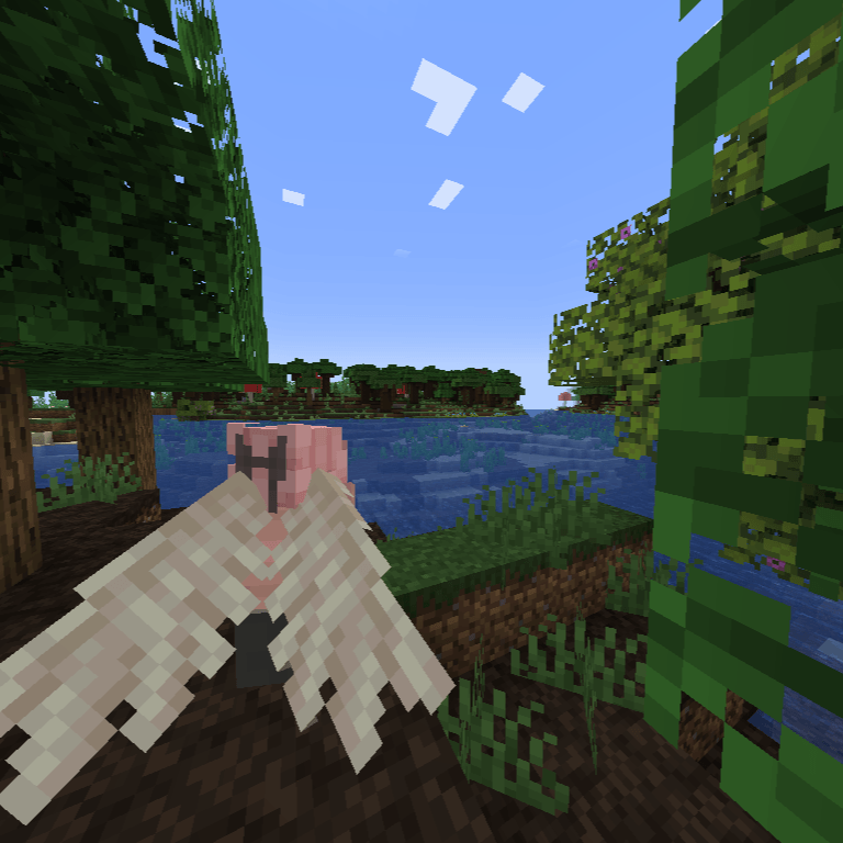 BB's Wings Elytra