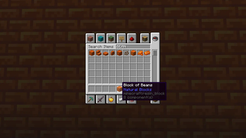 Beans for Life