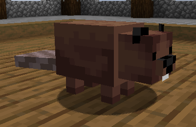 Beavers!!