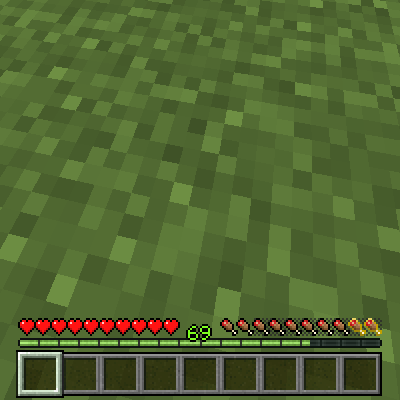 Bedrock XP Bar