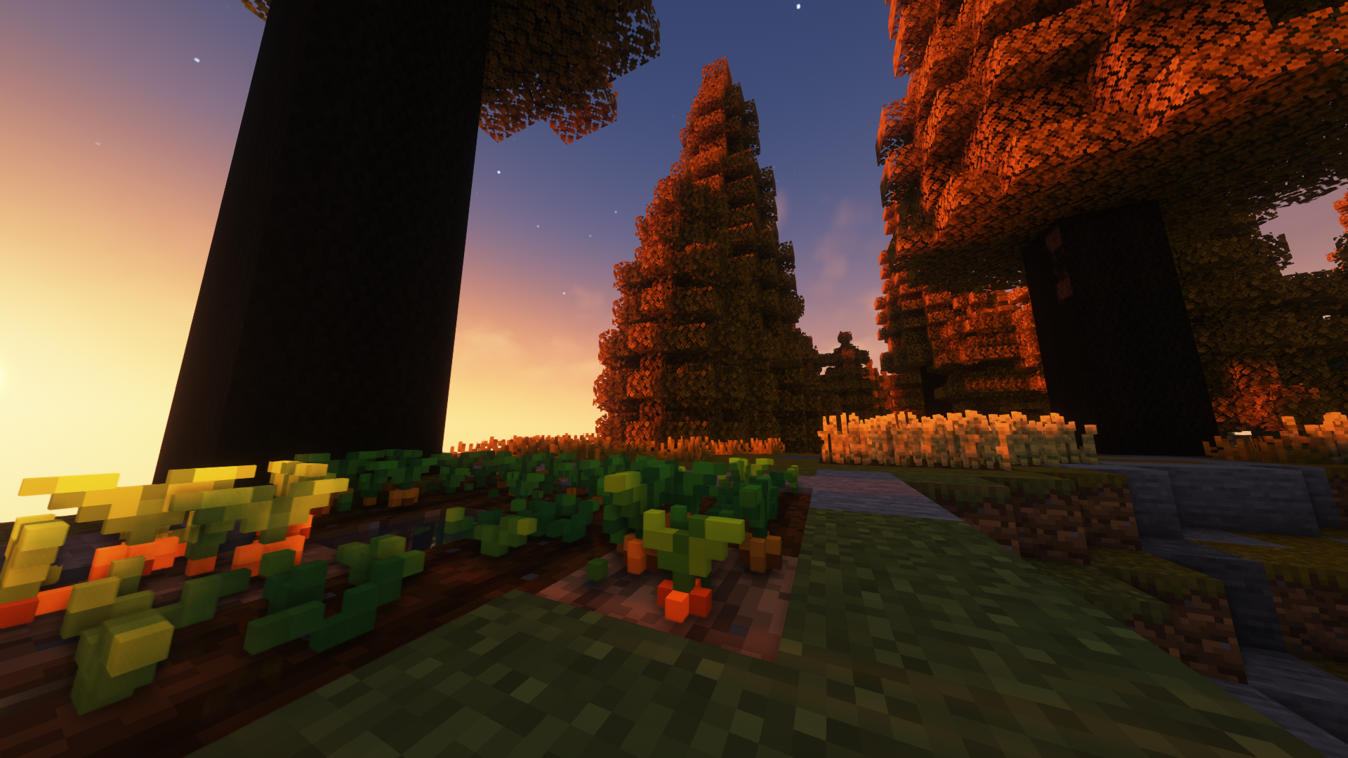Better Botanicals: 3D Crops