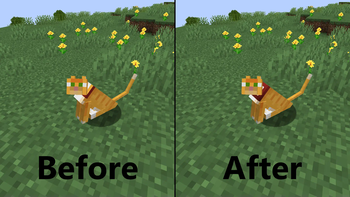 Better Cat Collars