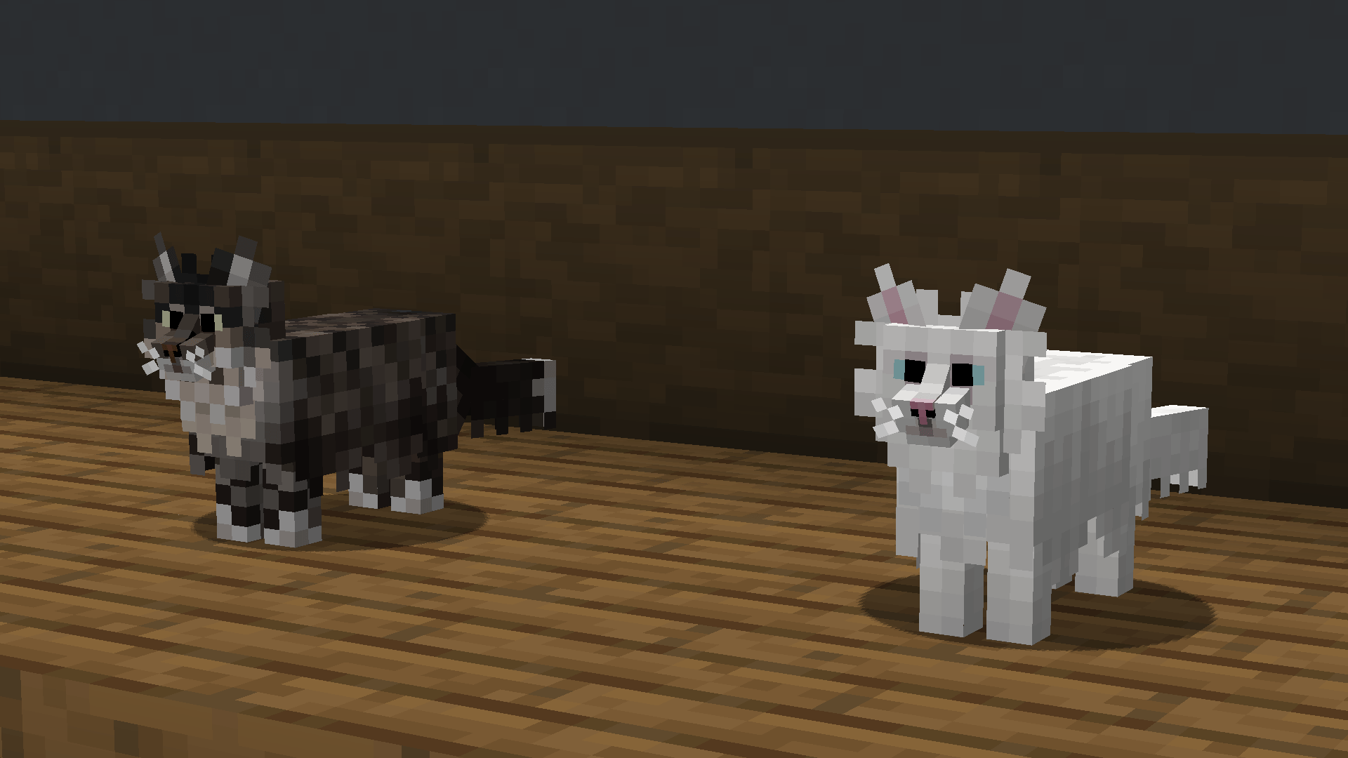 Better Cats