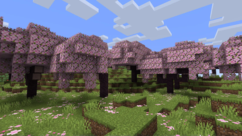 Better Cherry Leaves