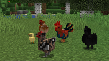 Better Farm Animals
