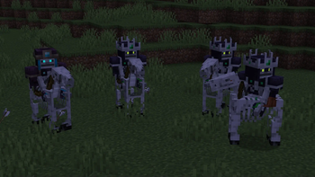 Better Jockeys
