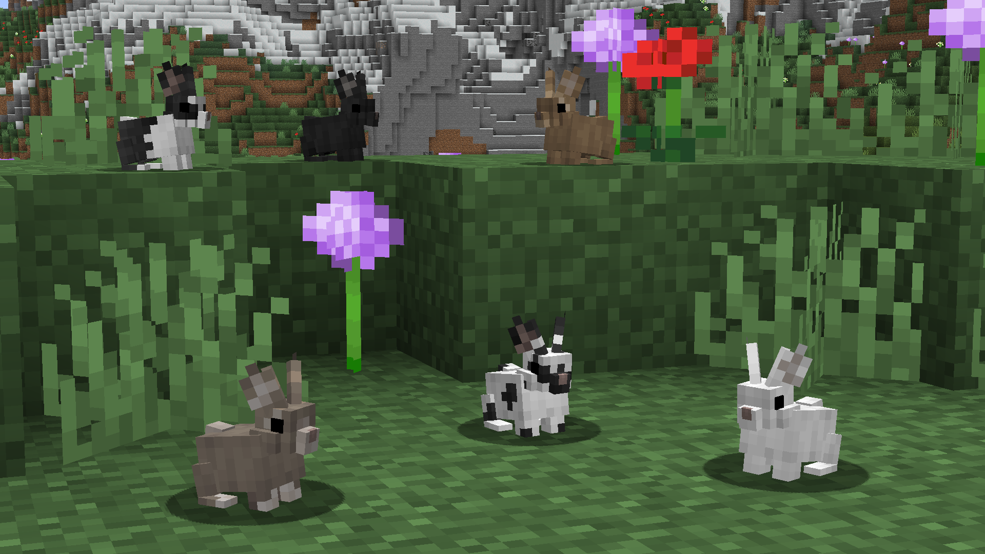 Better Rabbits
