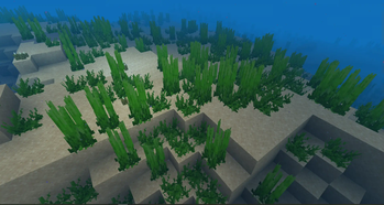 Better Seagrass